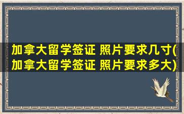 加拿大留学签证 照片要求几寸(加拿大留学签证 照片要求多大)